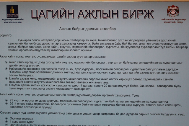 25488676_1260568717407957_2108845132_n