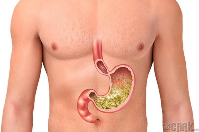 26755503_1275590642572431_340710002_n