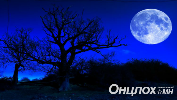 27583246_1291897514275077_787637752_n