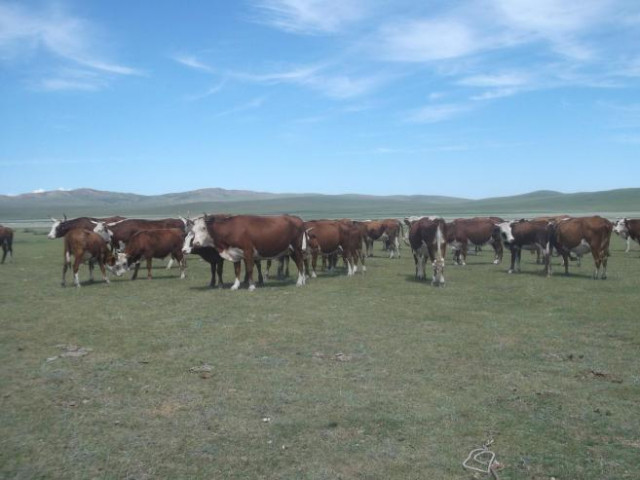 zJZeYlAbDtmAnovLL48ce67e8bccff5fd9b0e215fd8dafdc8