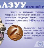 72634503_771815136603149_85522801842192384_n