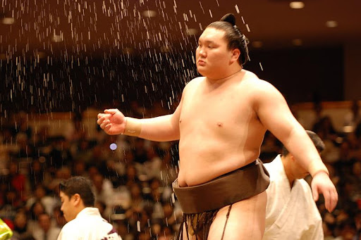 sumo