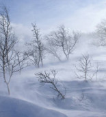 байгалььььь