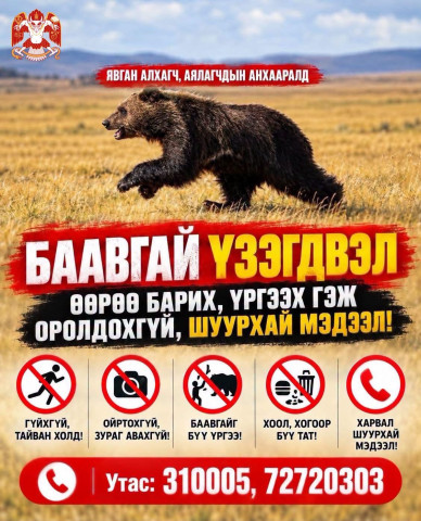 баавгай